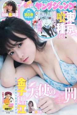 翼 年代记
